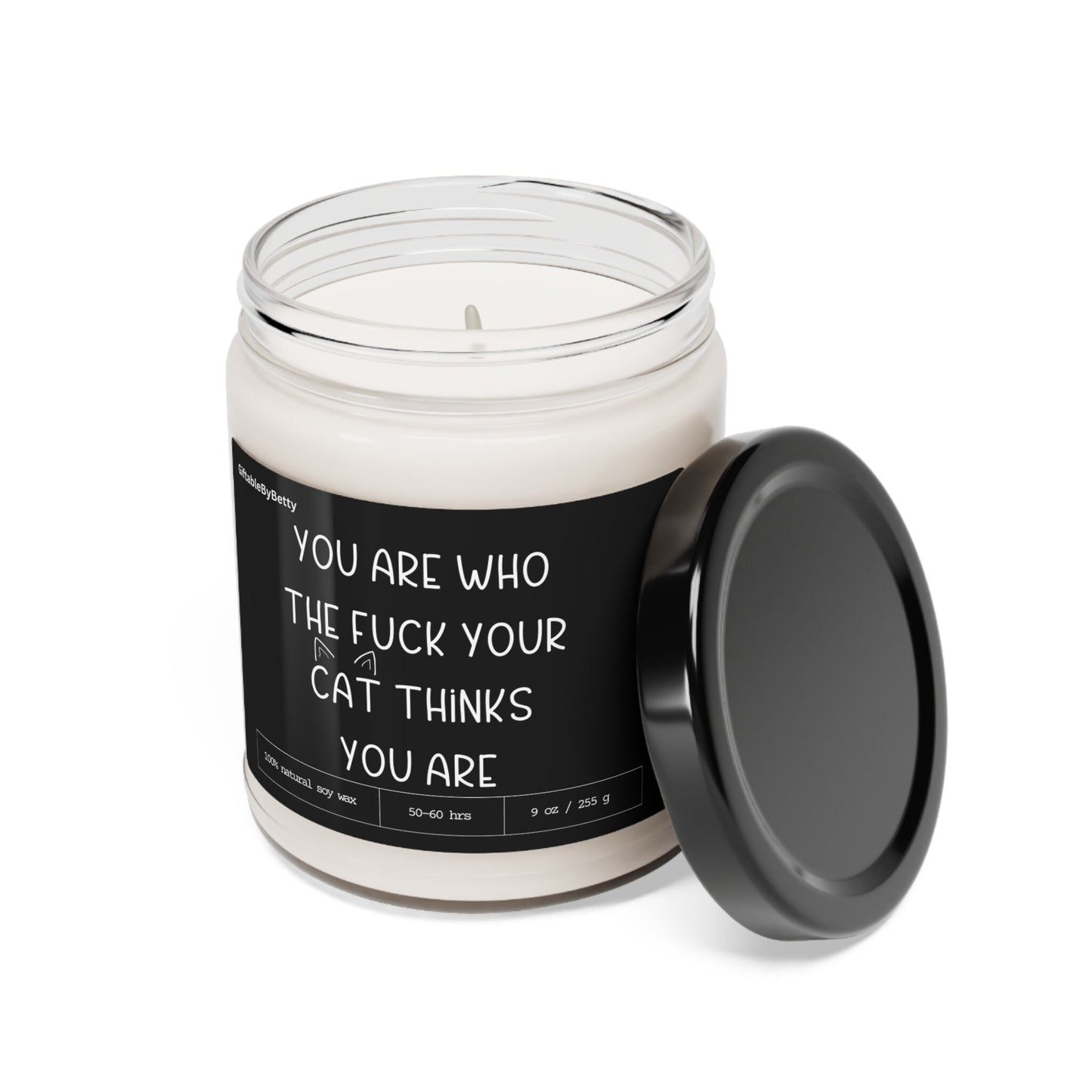 Cat Mom Candle Birthday Gift For Cat Lover Cat Owner,9oz Soy Candle Encouragement Motivational Graduation Fur Baby Memorial Gift for Pet Mom