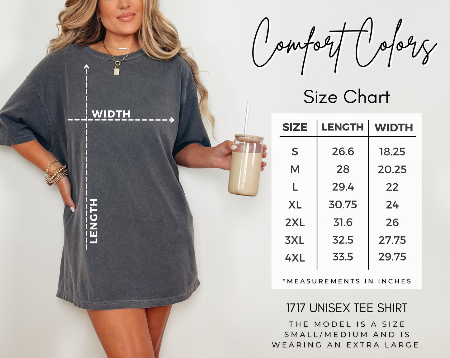 Comfort Colors Thanksgiving Shirt Occupational Therapist, Occupational Therapy Pumpkin Pie thirt, OT Shirt fall, pie shirt for sped team OT