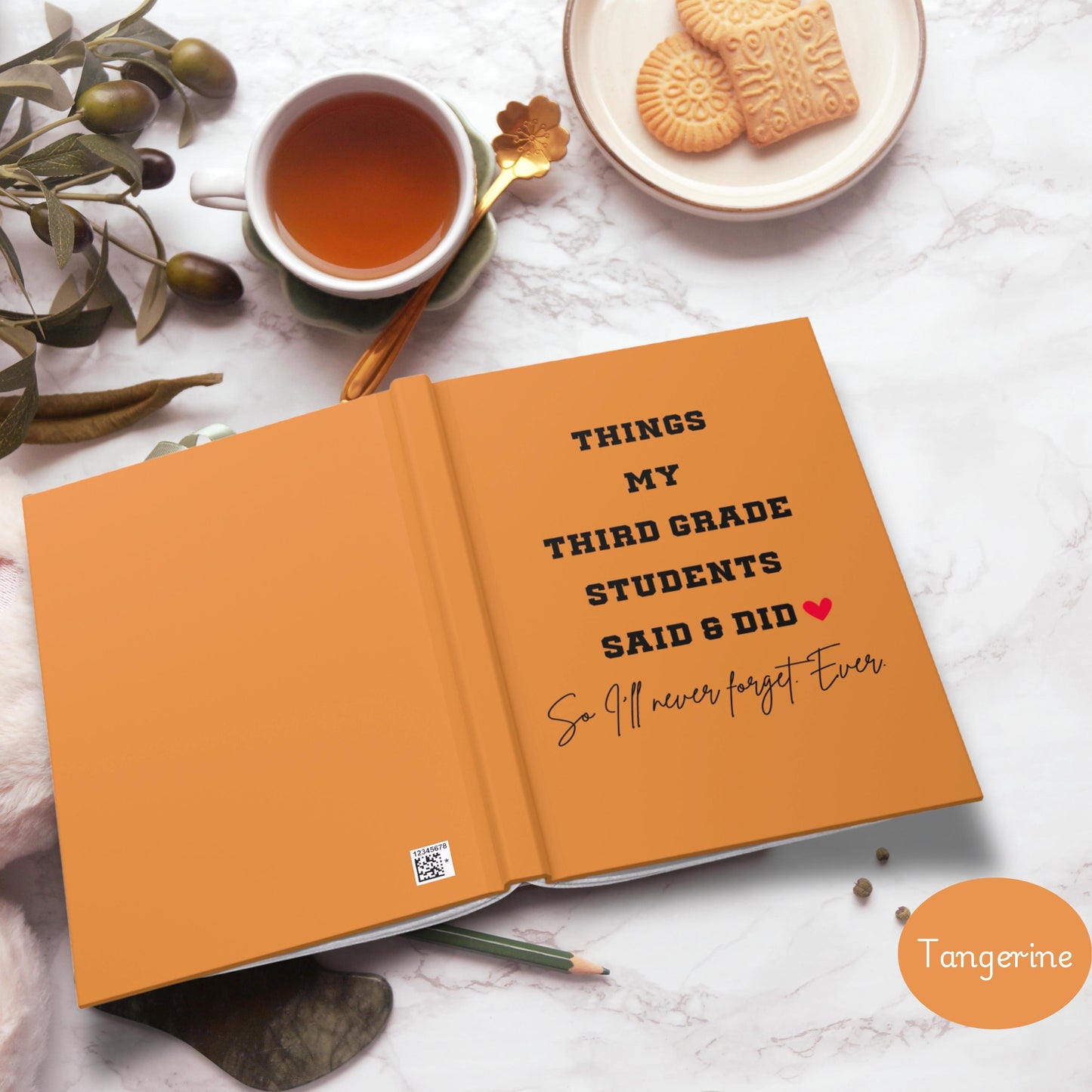 Third Grade Teacher Journal, Thank You Gift for Elementary Teacher, Funny End of Year Teacher Appreciation, Elementary School teacher gift