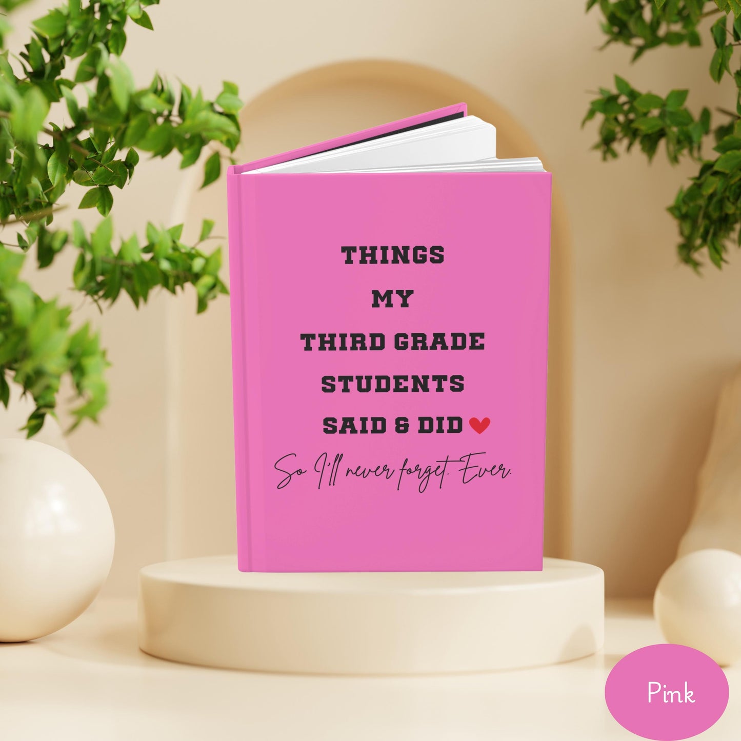 Third Grade Teacher Journal, Thank You Gift for Elementary Teacher, Funny End of Year Teacher Appreciation, Elementary School teacher gift