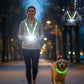 Ultimate Pet & Owner Safety Set: Reflective Vest with Headlight & LED Dog Collar, Dog Owner Gift