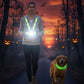 Ultimate Pet & Owner Safety Set: Reflective Vest with Headlight & LED Dog Collar, Dog Owner Gift