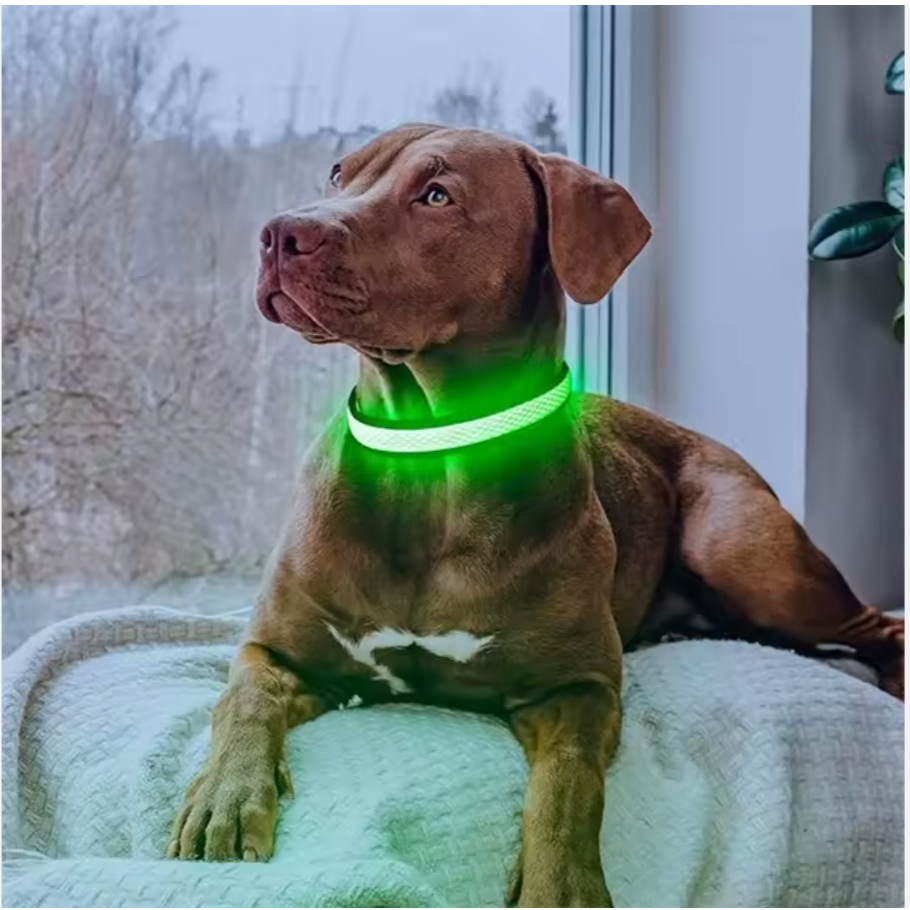 Ultimate Pet & Owner Safety Set: Reflective Vest with Headlight & LED Dog Collar, Dog Owner Gift