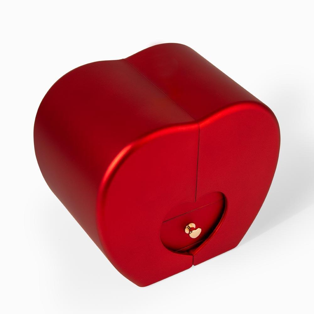 Preserved Real Red Rose Gift for Mom, Mom Necklace with luxury box