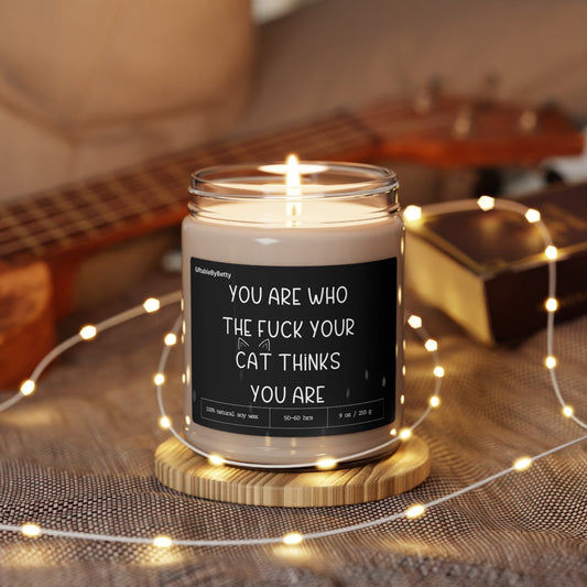 Cat Mom Candle Birthday Gift For Cat Lover Cat Owner,9oz Soy Candle Encouragement Motivational Graduation Fur Baby Memorial Gift for Pet Mom