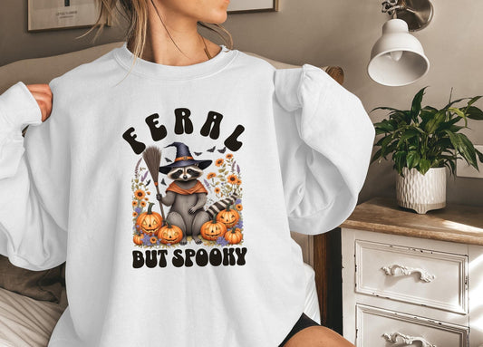 Feral But Spooky Sweatshirt, Funny Raccoon Sweater Halloween, Feral Sweatshirt Gift for Her, Spooky Halloween Sweatshirt, Witch Hat Shirt